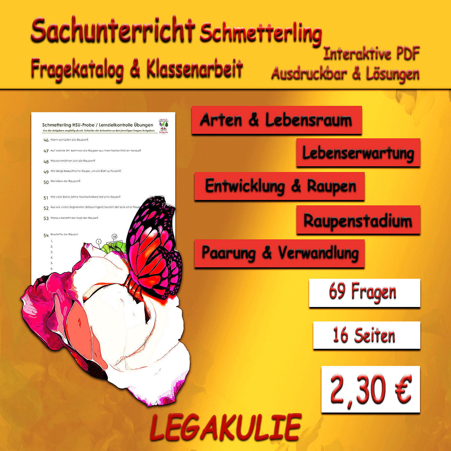 Schmetterling - Sachunterricht – Arbeitsblätter  mit Lösungen ausdrucken