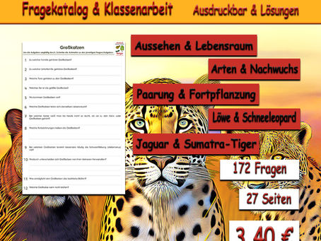 Großkatzen Tiger Jaguar Leopard Löwe