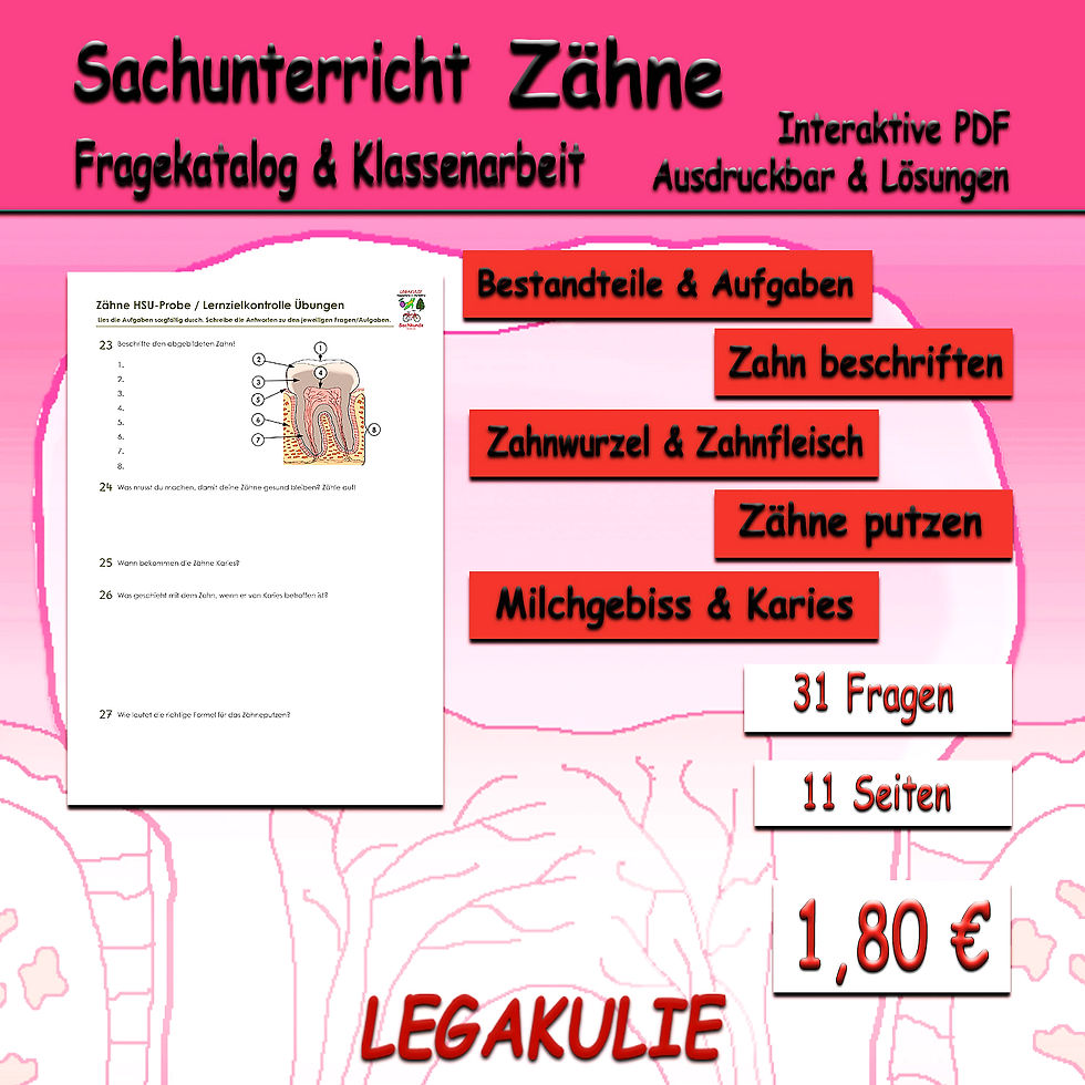 Zähne Bestandteile Milchgebiss - Sachunterricht Grundschule