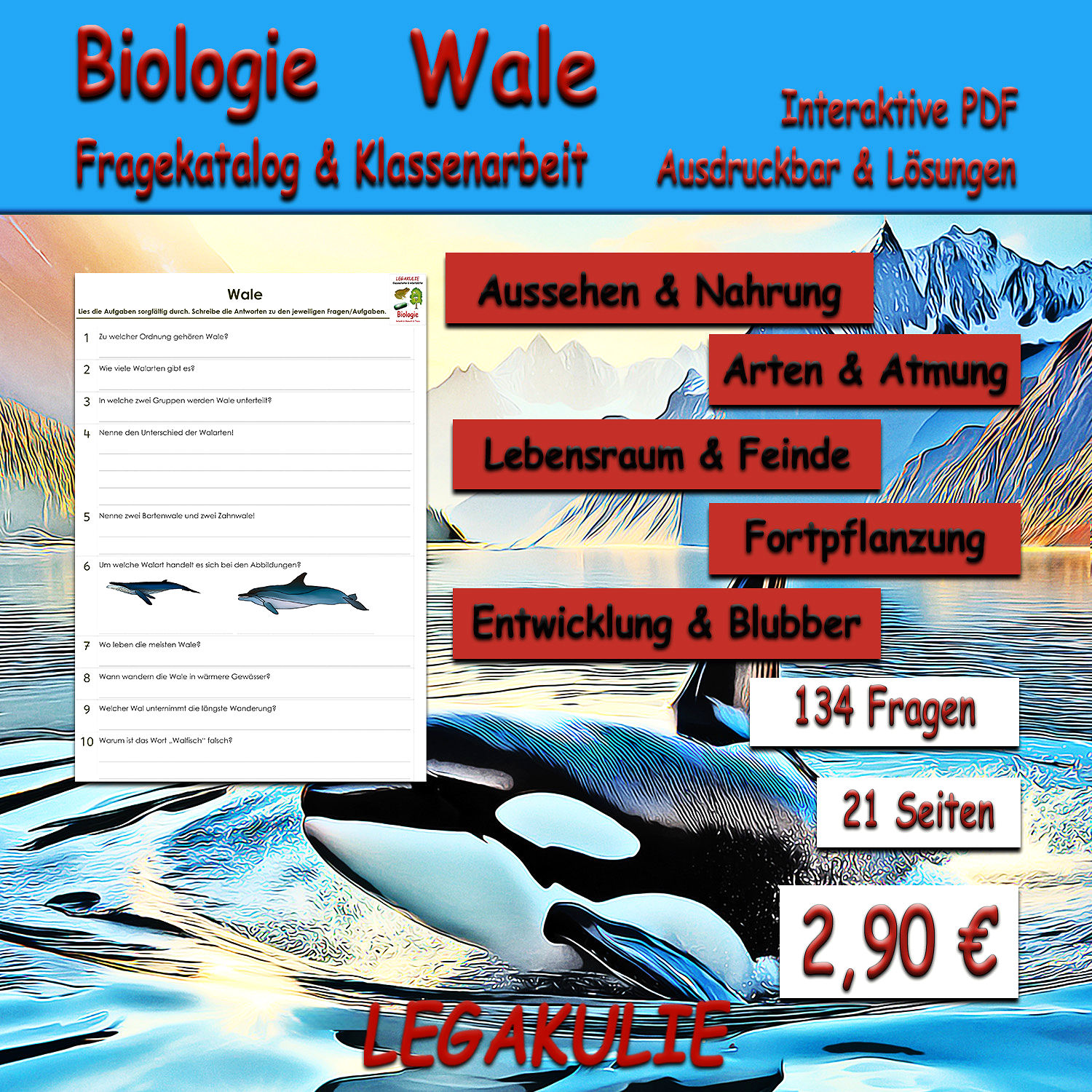 Wale Biologie Klassenarbeit & Fragekatalog - Unterrichtsmaterial Legakulie