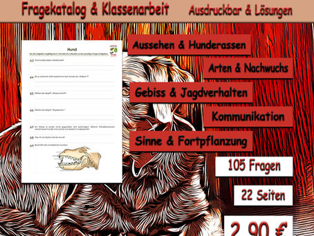 Hund Klassenarbeit Unterrichtsmaterial