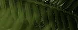 01.png