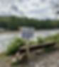 Nolichucky Ferry Spring 2025 (Contributed/Claire Perkins)