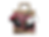13508183_A19_edited.png