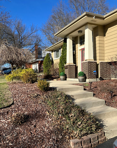 Ziemblicki remodel side view 2.jpg