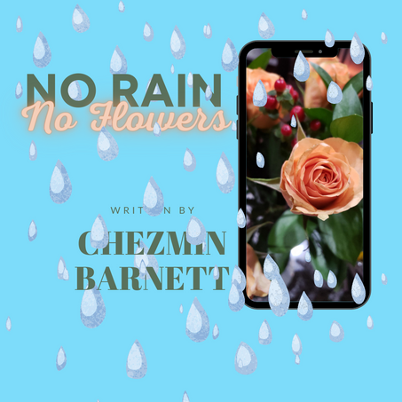 No Rain, No Flowers