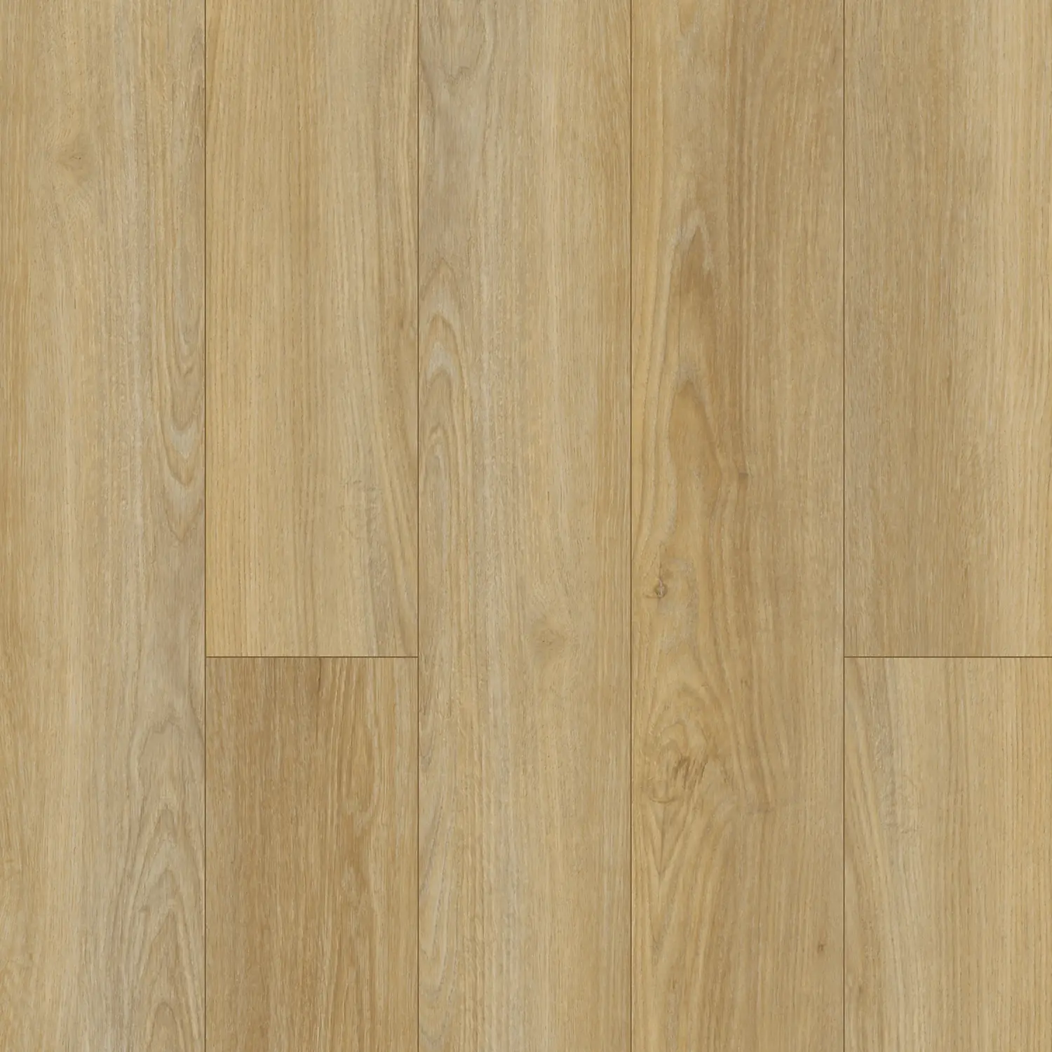 SolidTech Essentials- Discovery Ridge Coffee House Tan