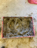 IMG_2525.jpeg
