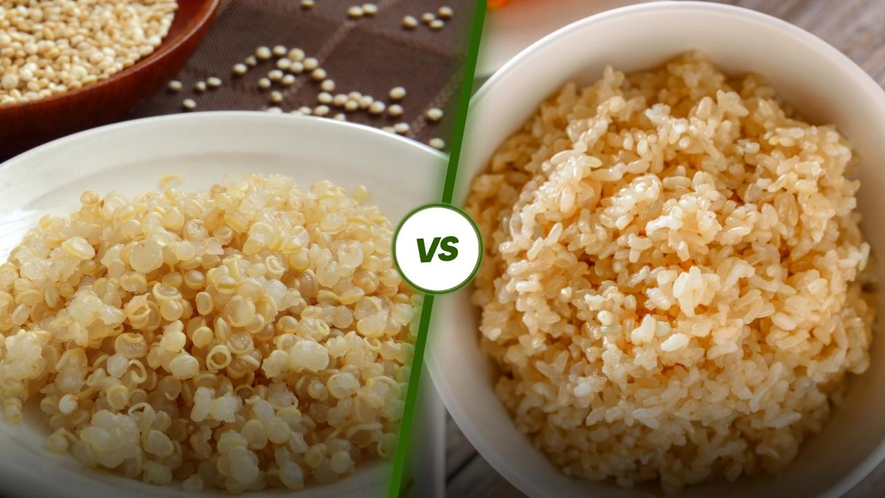 Quinoa vs Brown rice
