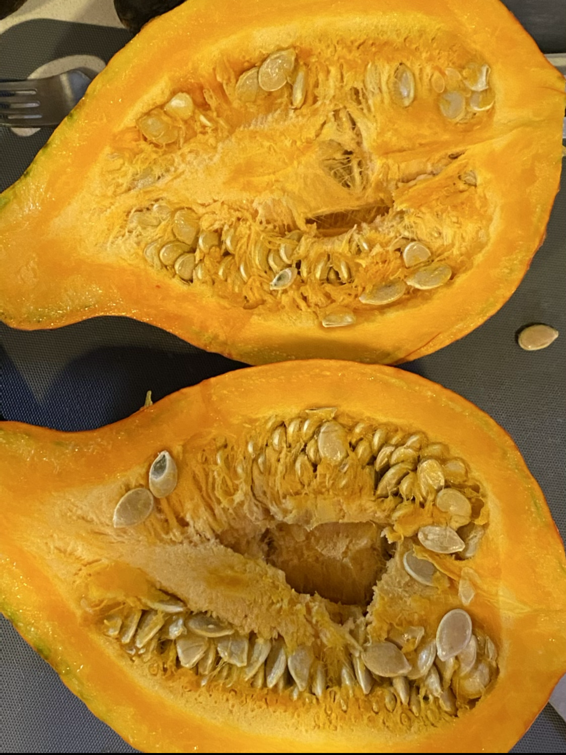 squash seeds