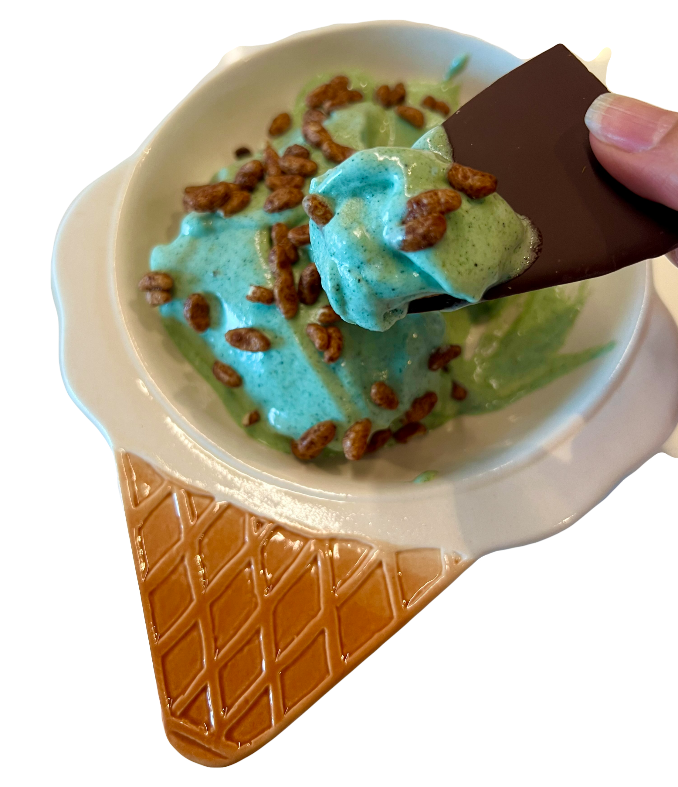 Mint Chocolate Spirulina Nice Cream