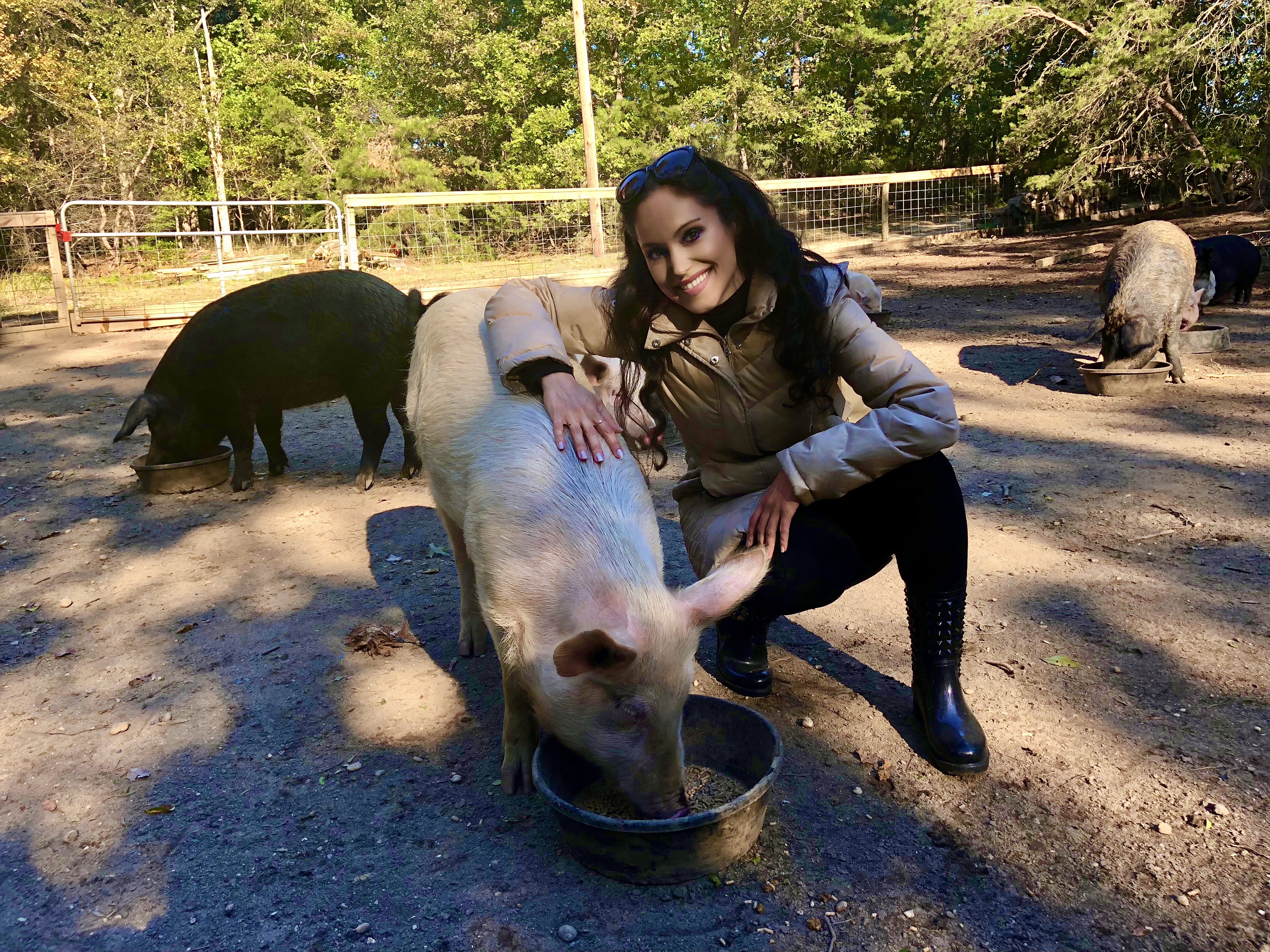 cheryl martinez at freedom farm animal rescue