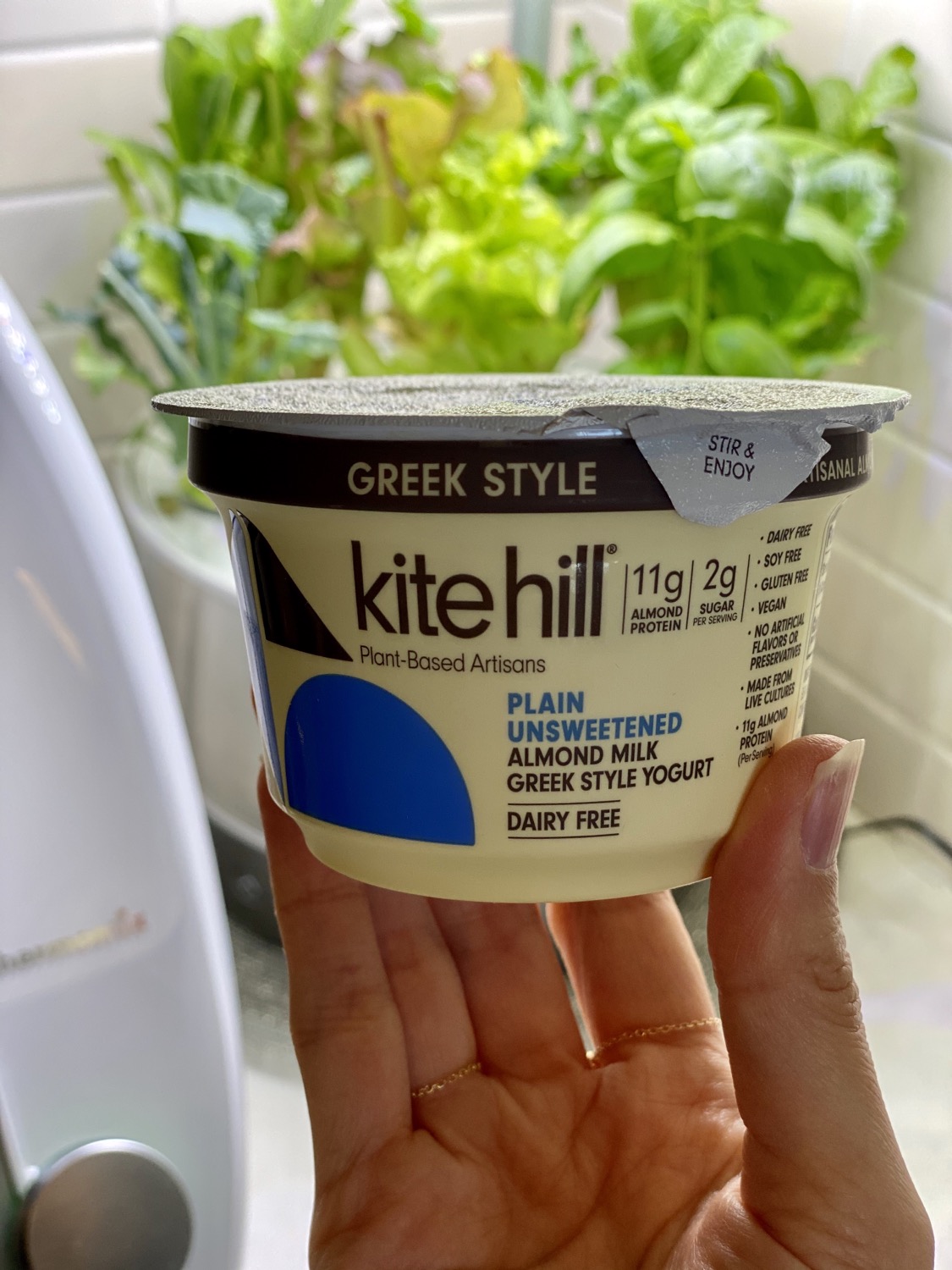 Vegan Yogurt
