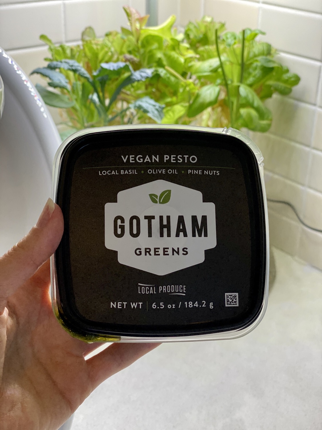 Vegan Pesto