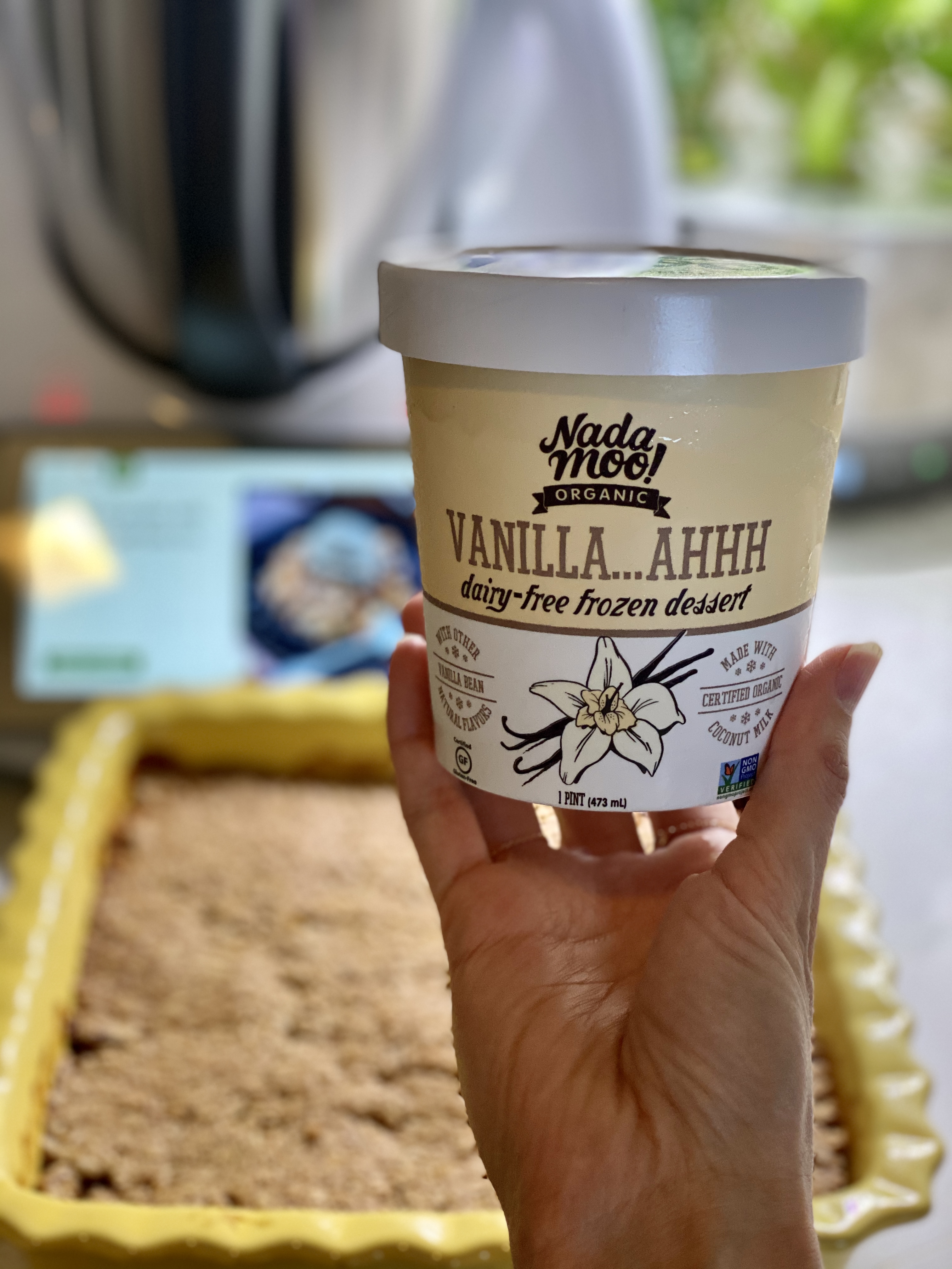 dairy free vanilla ice cream