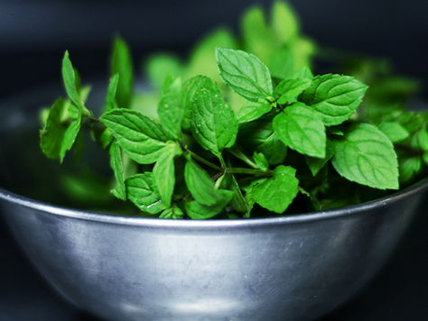 Can you Freeze Mint? 🍃