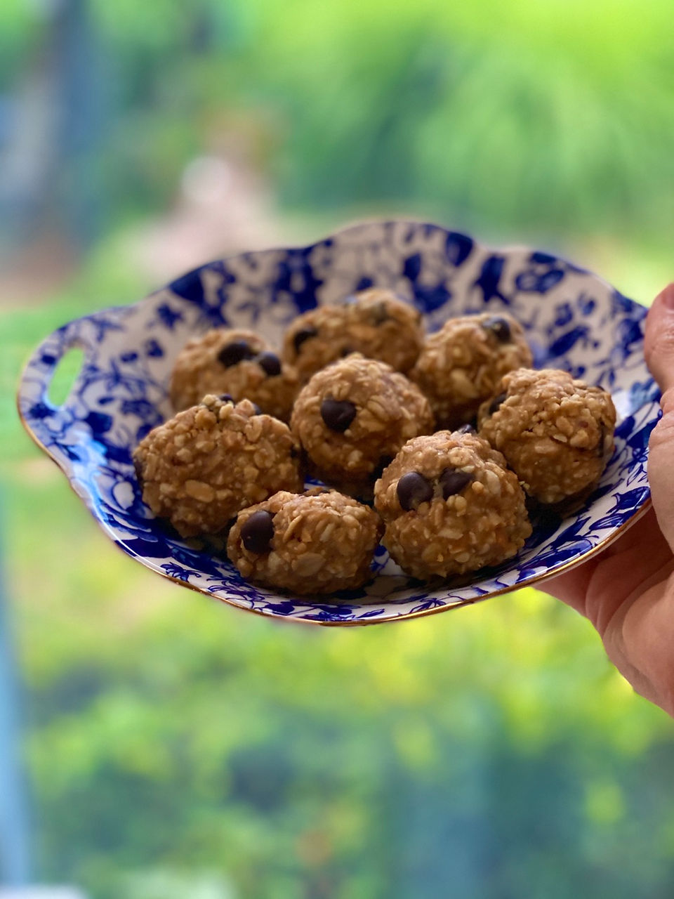 Peanut Protein Balls