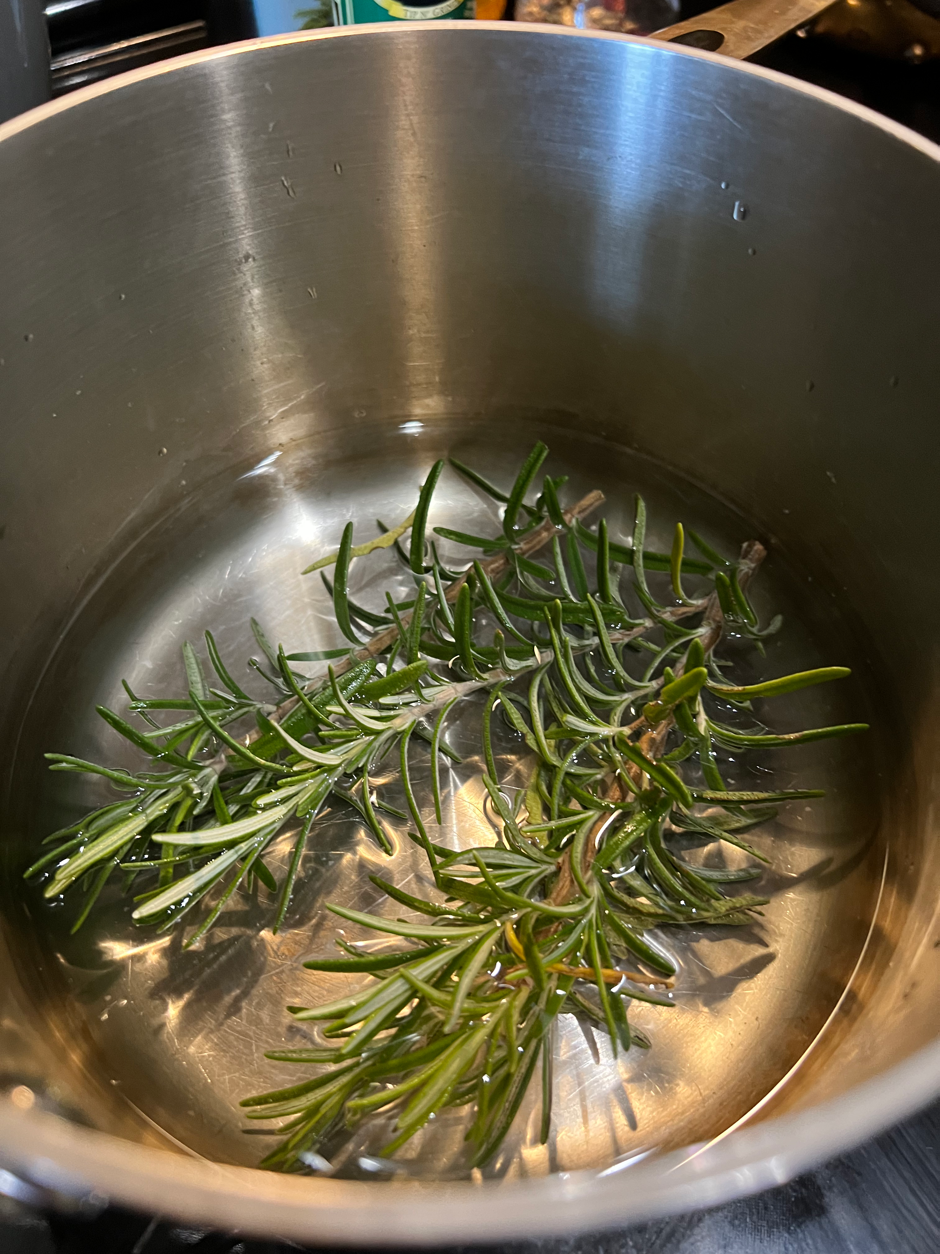 Fresh rosemary in a pot with filtered water