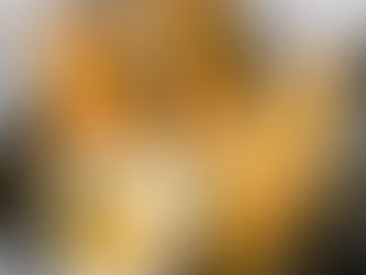 Dairy-Free & Soy-Free Chicken Tenders with Honey-Mustard Dipping Sauce