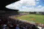Texas Baseball stadium.webp