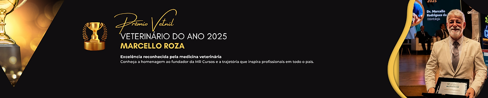 faixa premio.png