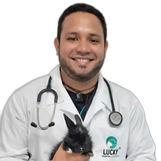 hernando.png