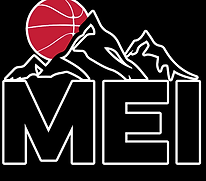 MEI logo 1.png
