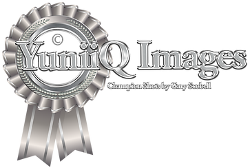 Silver image champion_edited.png