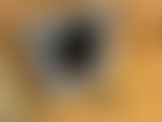 ラスト1キットとなりました!!