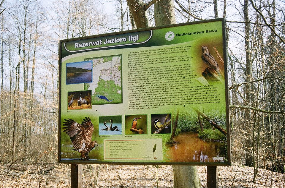 Rezerwat Jezioro Iłgi