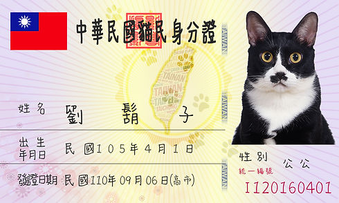 影藝攝影-寵物身分證正面.jpg