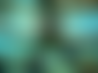 Maragogi: Seu Próximo Vício Tropical no Coração do Nordeste! Prepare-se para se Apaixonar!