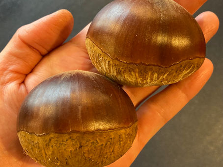 駆け足の秋🌰💦💨💨