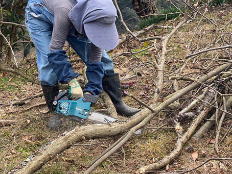 みんなのチカラ