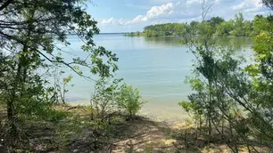 Monthly Mosquito Fogging, In2Care Stations, and Mosquito Misting Systems: What Works Best Near East Texas Lakes?