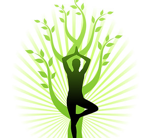 yoga_tree.jpg