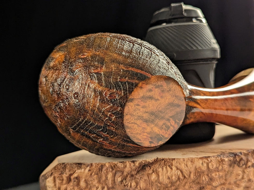 Thumbnail: Dragon Egg