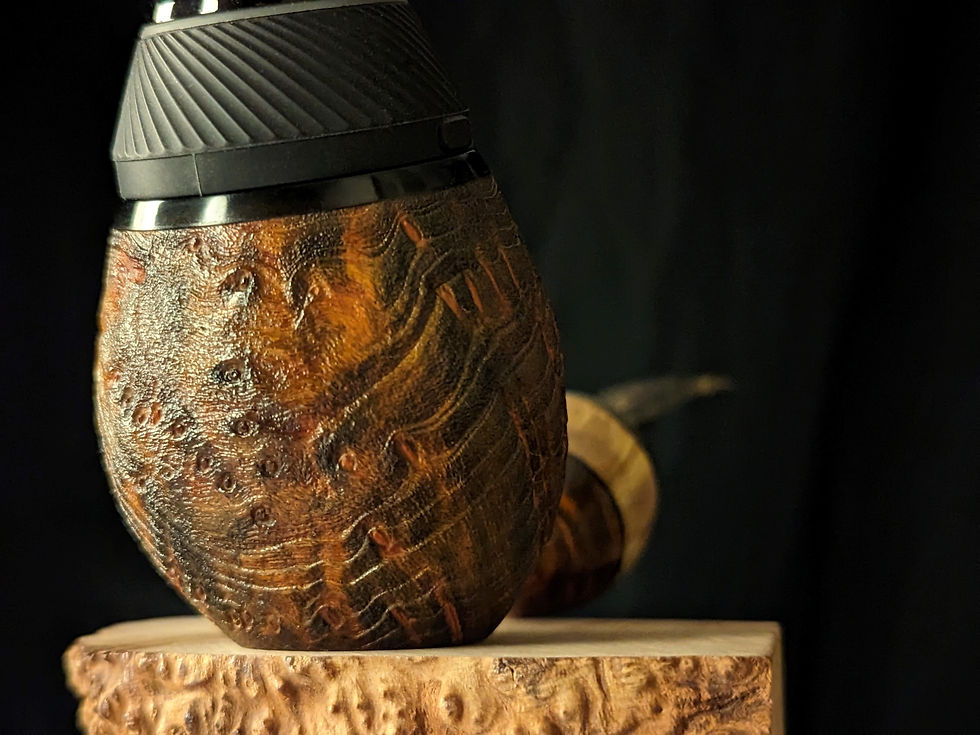 Thumbnail: Dragon Egg