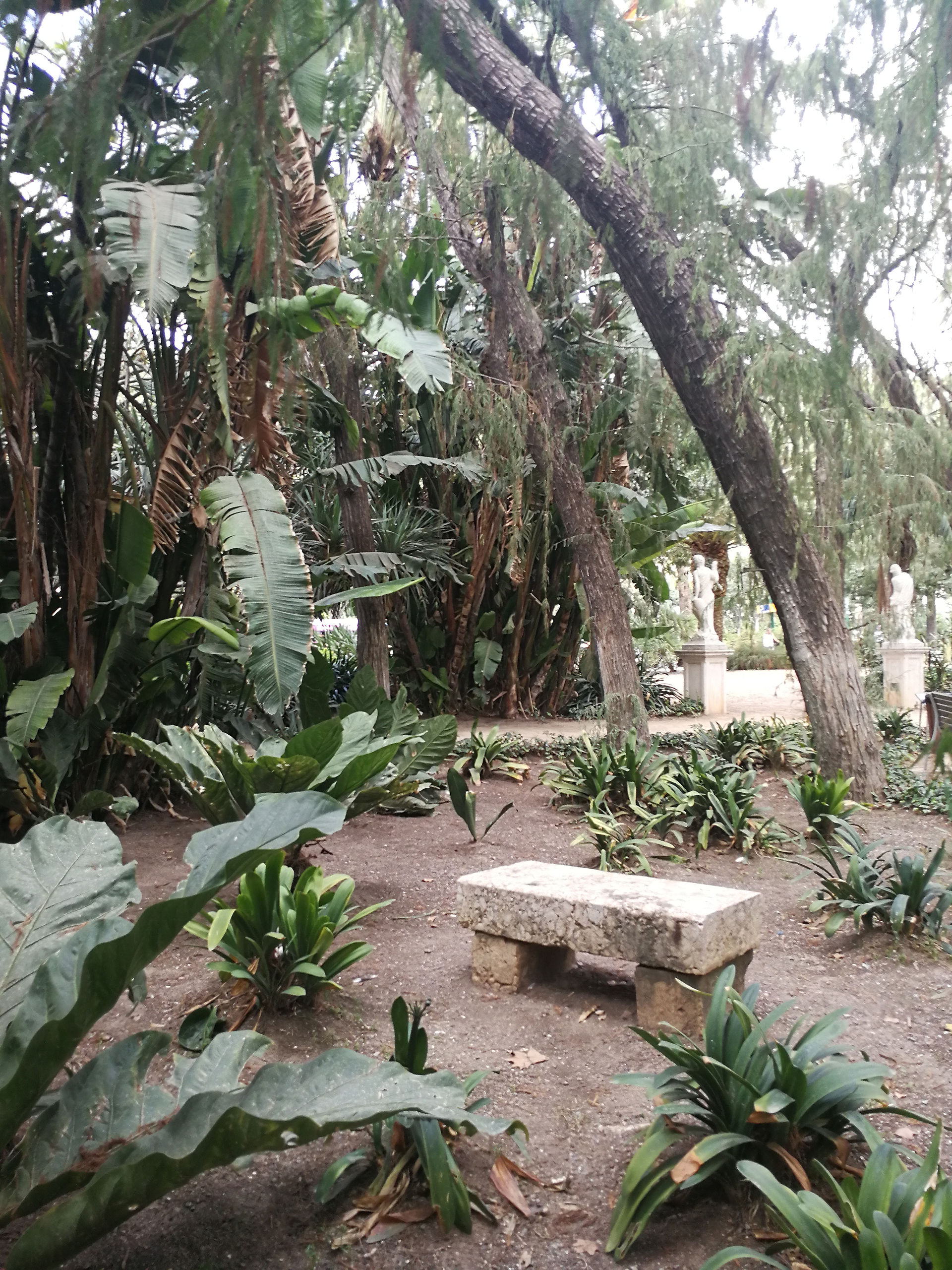 GIARDINO