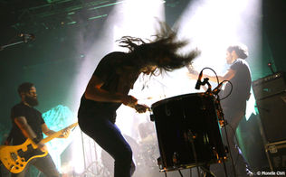 PHOTO GALLERY: FAST ANIMALS AND SLOW KIDS