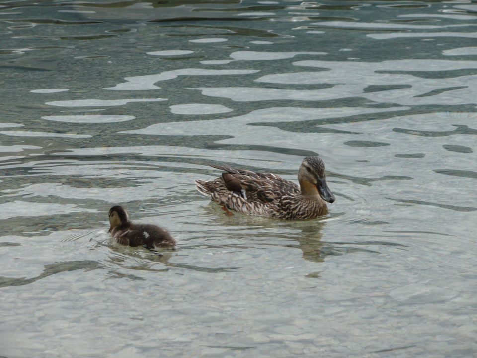 Eibsee0002.jpg