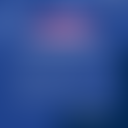 Iniciaremos o ano letivo de 2021 de forma remota