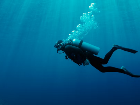 Thinking About a Dive in Koh Tao? Here’s What Makes It So Special