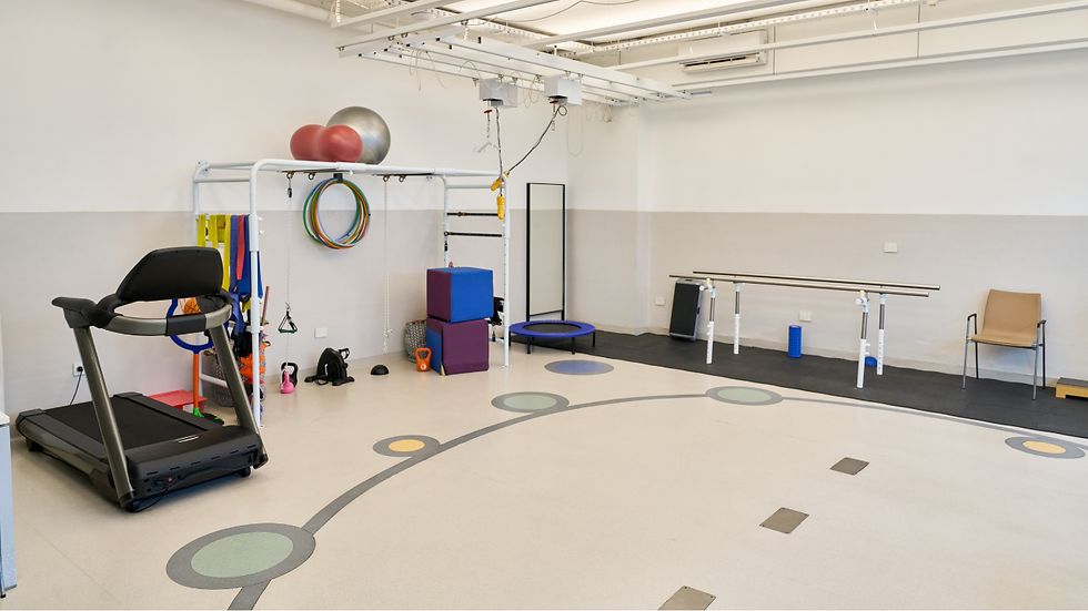 How to Pick a Reliable Exercise Equipment Store