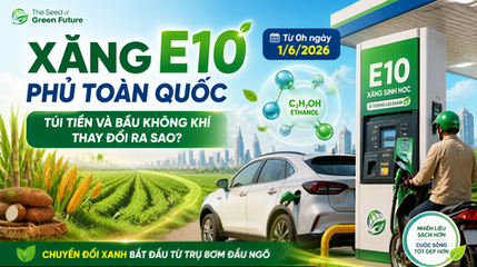 Xăng E10 phủ toàn quốc từ 1/6/2026: Túi tiền và bầu không khí của bạn thay đổi ra sao?