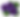 African-Violet_multiple-buds_with-leaf (3).png