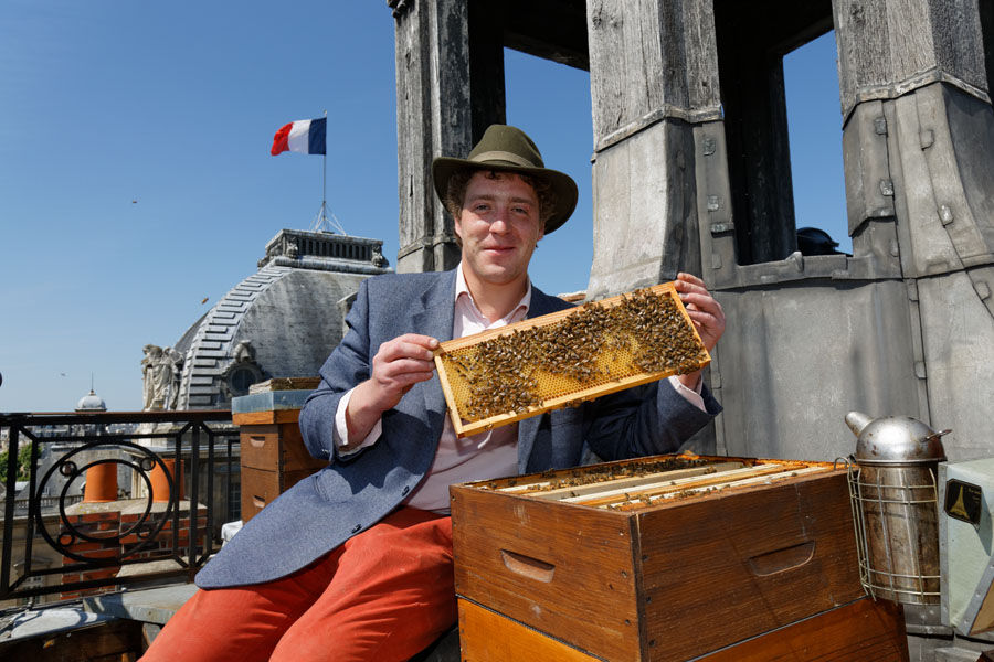 Audric de Campeau Apiculteur Paris Credits Tourneret