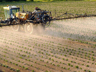 Les riverains des champs sont exposés à un cocktail de pesticides