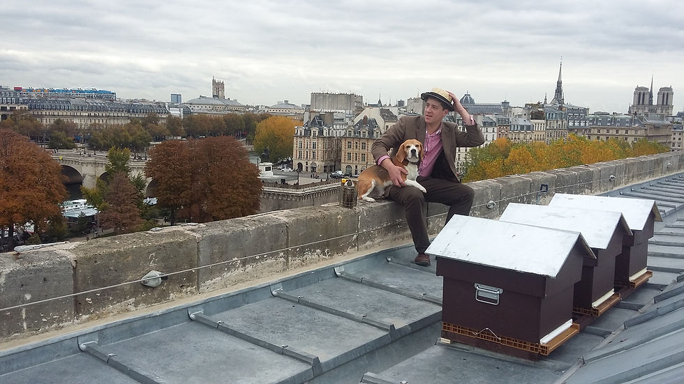 Miel de Paris Monnaie Honey