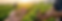 Gemini_Generated_Image_c746c5c746c5c746.png